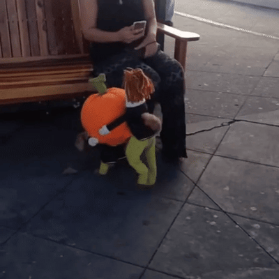 PhantomCharm™ — Turn Your Pet Into the Irresistible Halloween Showstopper Everyone Loves