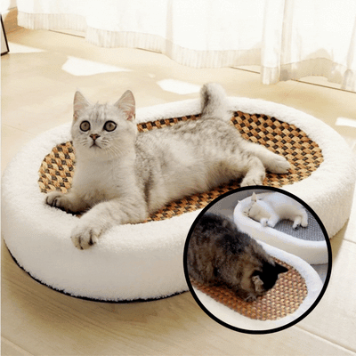 ScratchGuard Haven™ — Turn Claw Chaos into a Stylish Sanctuary Your Cat Will Crave