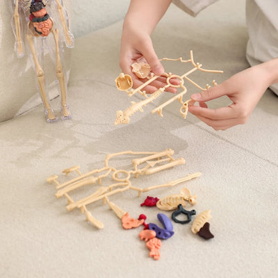 VitaForma™ — Unlock Total Confidence by Touching Real Anatomy