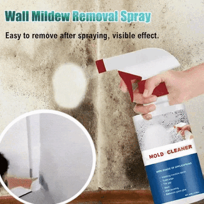 MoldAway™ — Protect Your Home and Loved Ones with Fast, Lasting Mold Erasure