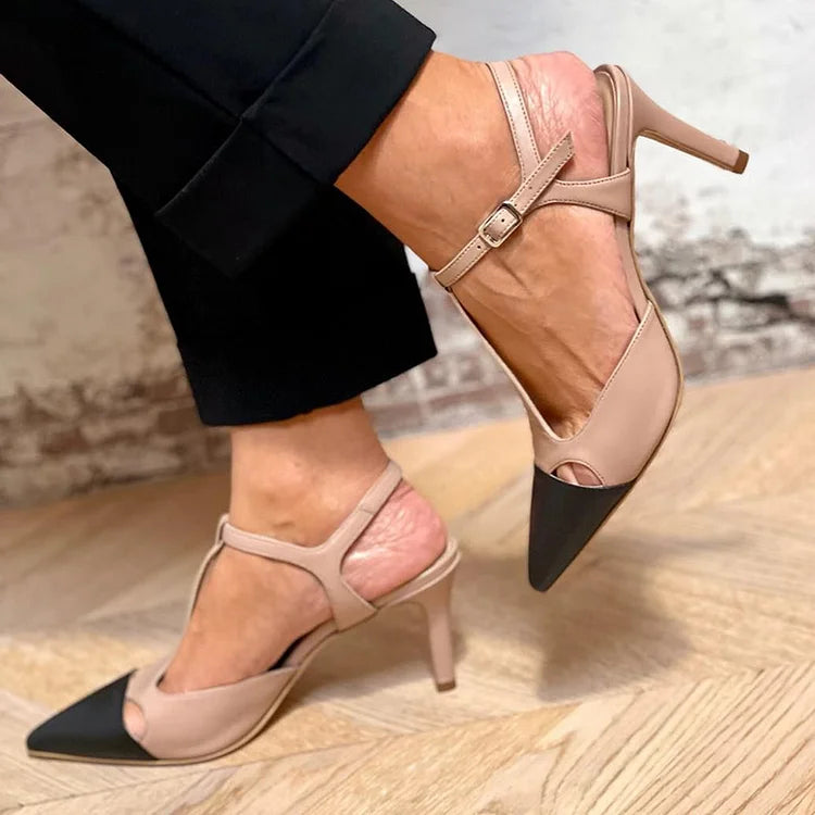 Evrardine | Two-tone Pointed Toe Pump
