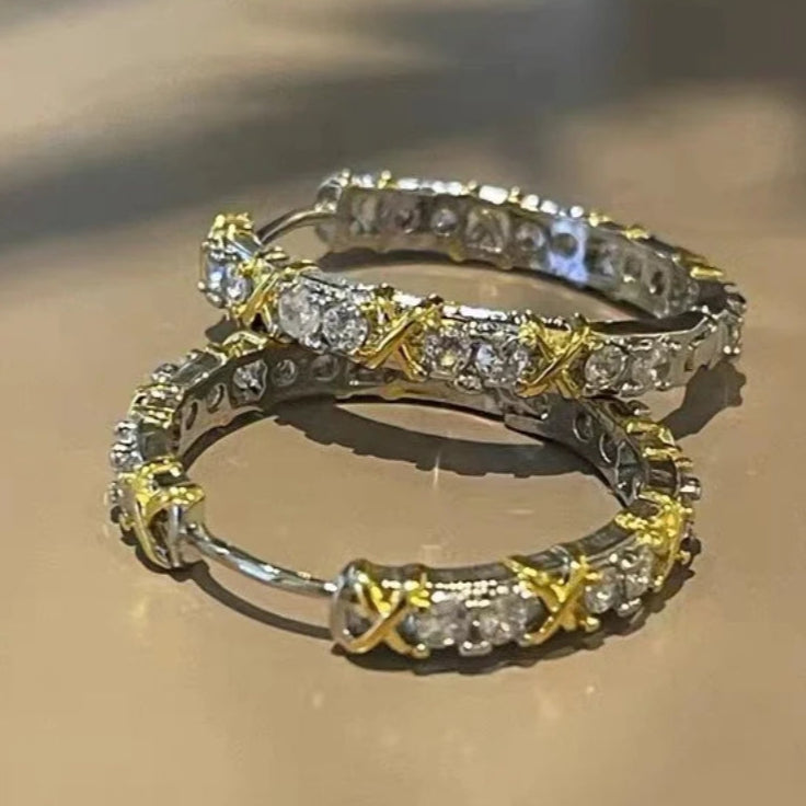 Bright Silvered Hoop Earrings