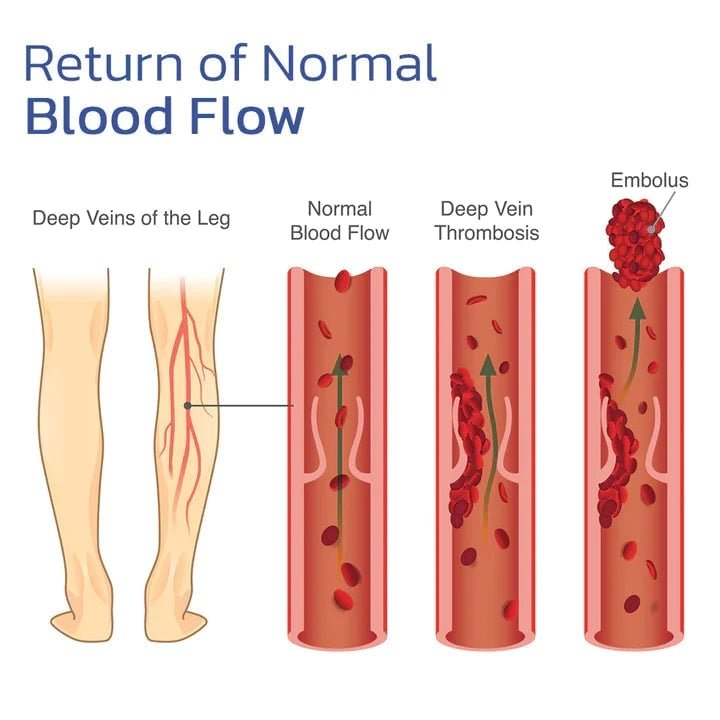 ThryvaKnee™ — Ignite Soothing Warmth for Pain-Free, Confident Movement All Day