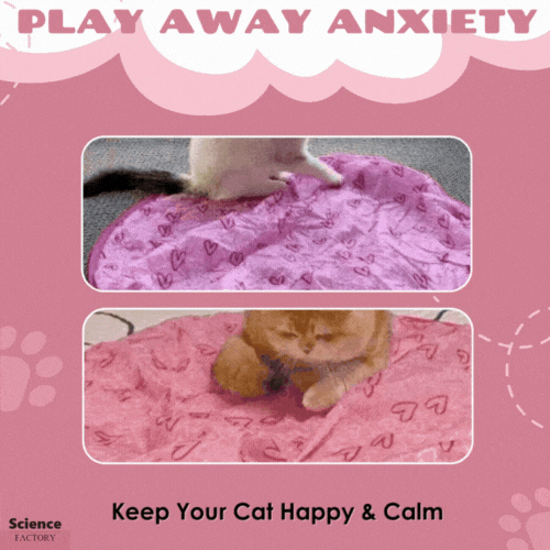 TurboPounce™ — Ignite Your Cat’s Hunter Spirit for Endless Joyful Action