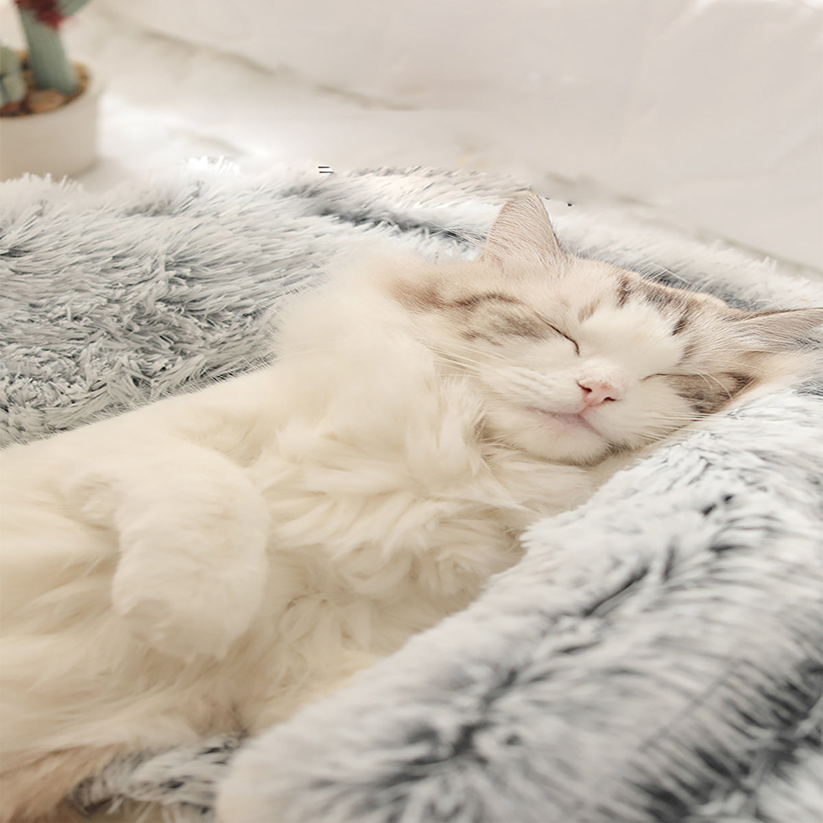 LunaNest™ — Cradle Your Pet in Soothing Warmth and Unshakable Calm