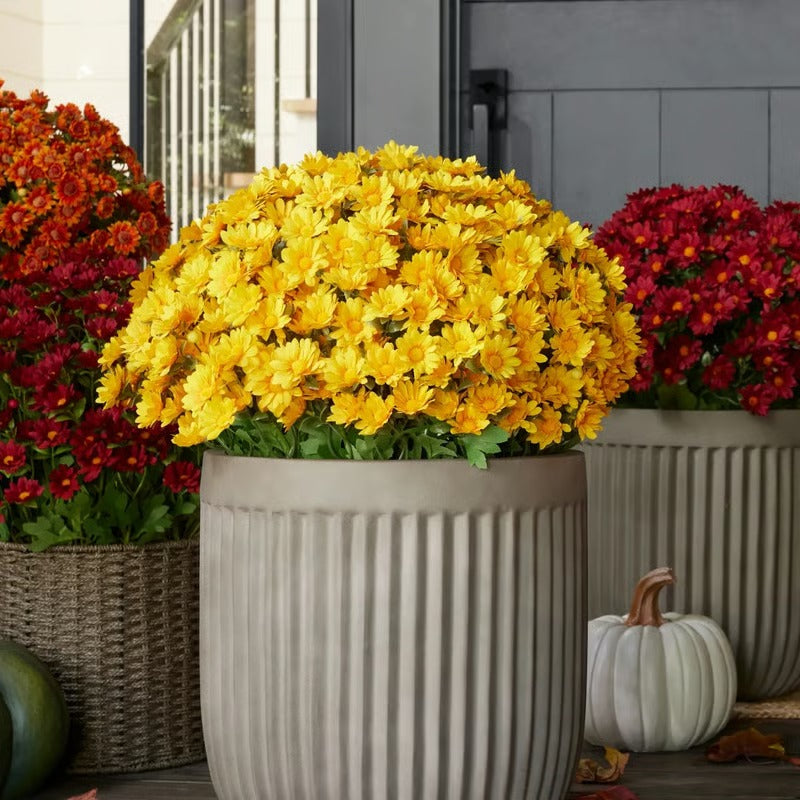 RamoraBloom™ — Light Up Your Home with Effortless, Timeless Autumn Beauty