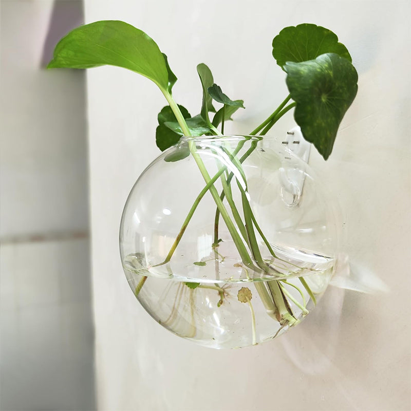 FloraFuse™ — Transform Walls Into Vibrant Oasis Without a Single Mark