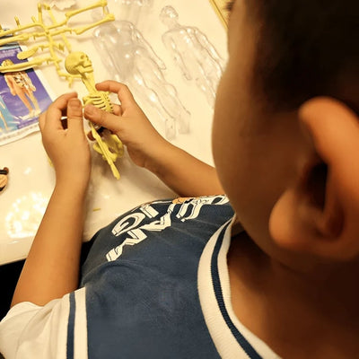 VitaForma™ — Unlock Total Confidence by Touching Real Anatomy