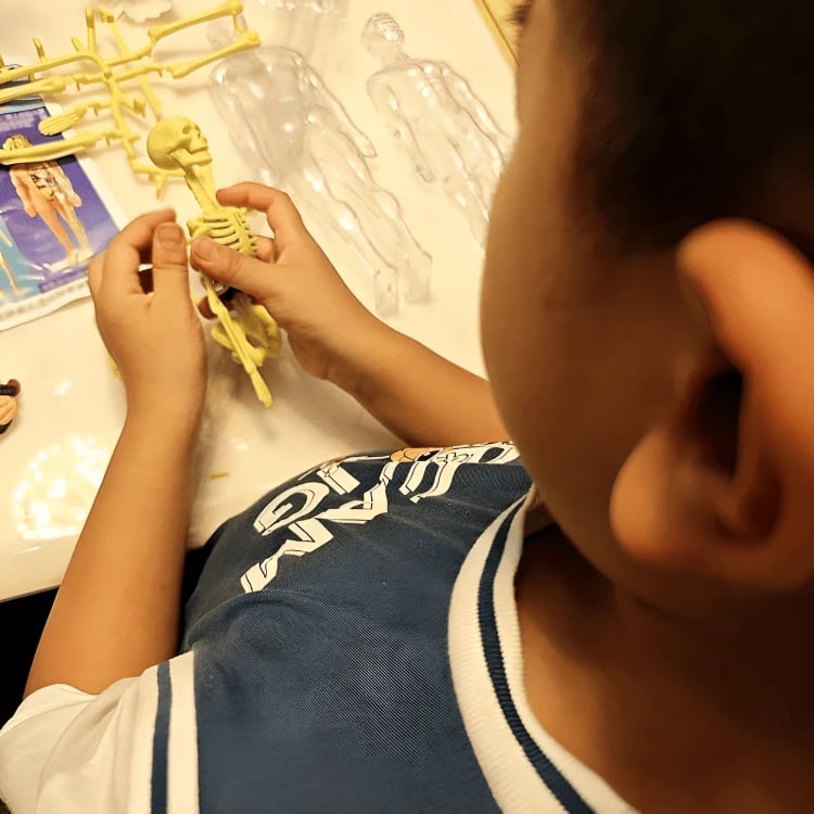 VitaForm™ 3D Anatomy Explorer — Unlock Mastery by Seeing and Touching Every Body Detail