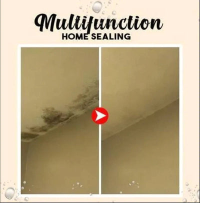 AquaGuard™ Rapid Seal — Instantly Block Leaks and Lock in Lasting Home Protection