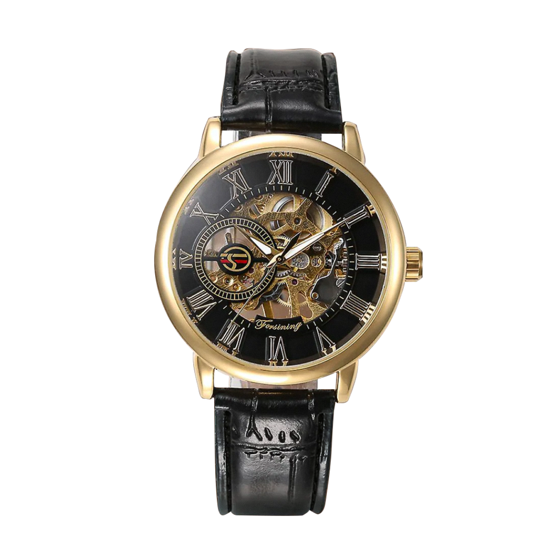 Peter | Fashionable Men's Roman Numerals Mechanical Watch | 42mm