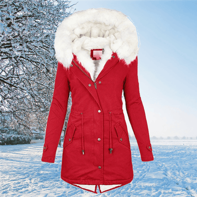 Avencea Winter Jacket for Women – Stylish and Warm