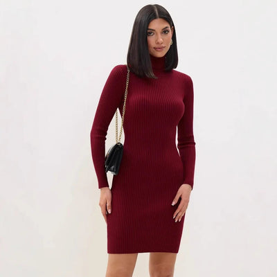 Women’s Sweater Dress – Ribbed Knit – Slim Fit – Turtleneck – Long Sleeve Mini