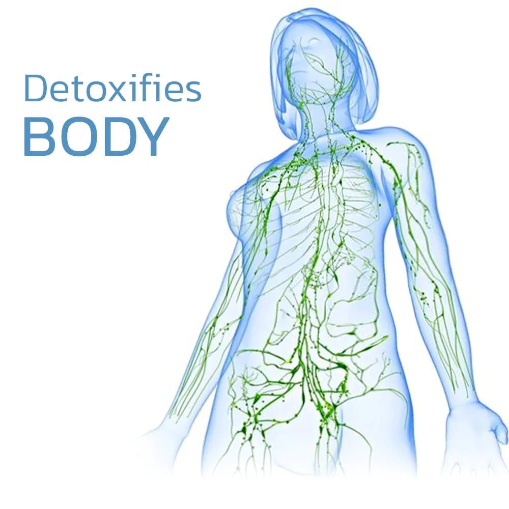 ThermaFlex™ — Feel the Soothing Heat That Frees Your Knees and Fuels Your Freedom