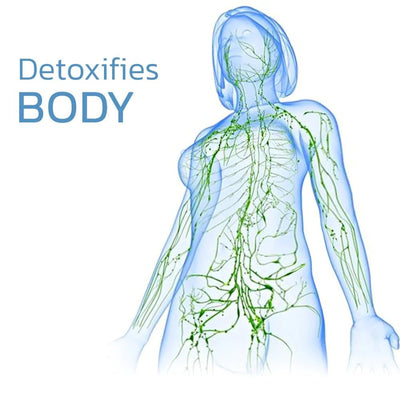 ThermaFlex™ — Feel the Soothing Heat That Frees Your Knees and Fuels Your Freedom