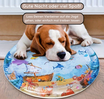 SplashVibe™ — Ignite Joy and Curiosity in Every Splash for Kids and Pets