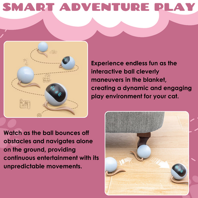 TurboPounce™ — Ignite Your Cat’s Hunter Spirit for Endless Joyful Action