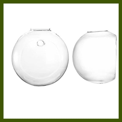 FloraFuse™ — Transform Walls Into Vibrant Oasis Without a Single Mark