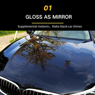 RadianceGuard™ — Unleash a Stunning Mirror Shine That Defends and Dazzles for Months